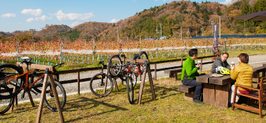 サイクルステーション